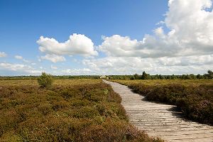 Corlea Trackway - Longford Ireland