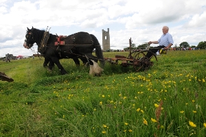 Trim Haymaking Festival - County Meath Ireland