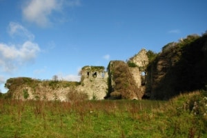 Clonmore_castle_Carlow 300 x 200 Pic by Liam Murphy